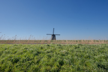 Windmill behind a dike and reed under a clear blue sky