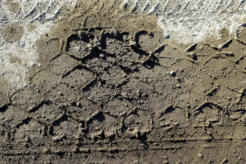 Tire tracks on the ground.  Tire tracks. Grunge background. Copy space.