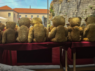 Teddy