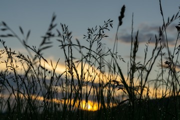 Sunrise or sunset over the hills and meadow. Slovakia