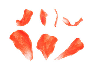 set of slices of pickled ginger on a white background
