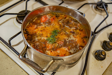 Natural vegetable ingredients for cooking delicious mushroom soup