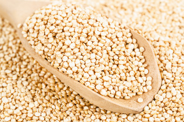 quinoa seeds in wooden spoon.