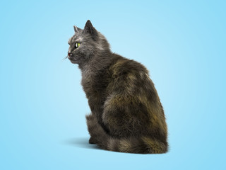 gray cat sits 3d render on a blue gradient background