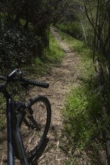 Fototapeta premium 산속 자전거 여행