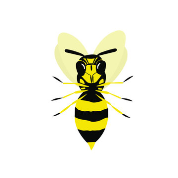 Vector illustration. Icon Wasp, an insect .Simple color image. bottom view.