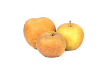 Grey hard Reinette Apple - Renetta, Rennet