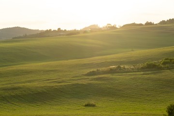 Obraz premium Sunrise or sunset over the hills and meadow. Slovakia