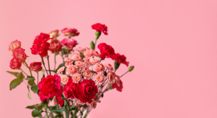 Red and pink flowers on a pink background. The photo is suitable for sending greetings.