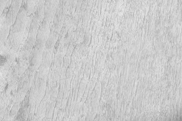 texture of white wall