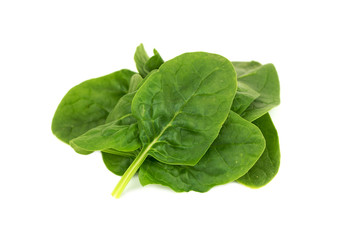 fresh young baby spinach leaves