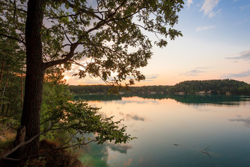 Lake view through the trees