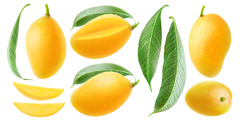 Isolated mango collection. Thai yellow mango fruits of different shapes, pieces and leaves isolated on white background