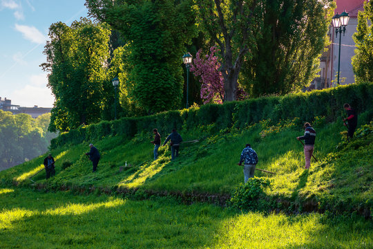 group of people scything the grass on a hump. lawn mowing in an old-school way on a sunny morning in springtime. location kyiv embankment in uzhgorod