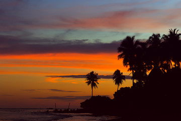 Dark silhouettes of palm trees and multicolored cloudy sky at sunset in the tropics on the beach. Copy space