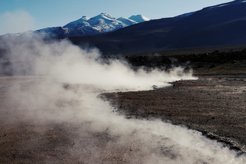 Geyser el Tatio in Chile