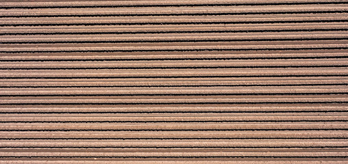 aerial view of an asparagus field