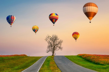 Colorful hot air balloons flying on lonely dry tree in flower garden
