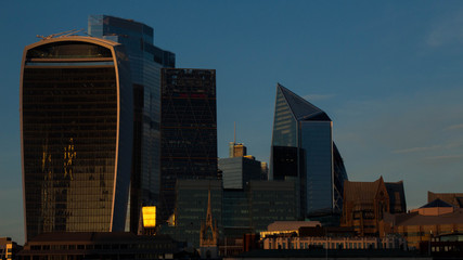 Fototapeta premium city at night london sky garden sunset