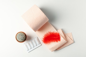 Toilet paper, feather, cactus and candles on white background, top view