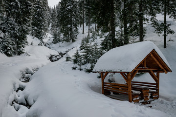 landscape winter, winter, panorama, snow, blue sky in winter, trees in winter