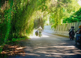 Fotógrafo en el bosque / eddysantana