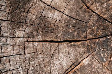 Tree stump background. Brown cracked and cut Wooden texture pattern background.