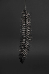 Black rw palm on a monochrome background. Trendy design element.