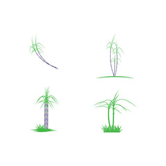 Set Sugar cane Logo Template vector symbol