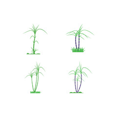 Set Sugar cane Logo Template vector symbol