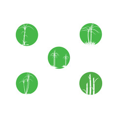 Set Sugar cane Logo Template vector symbol