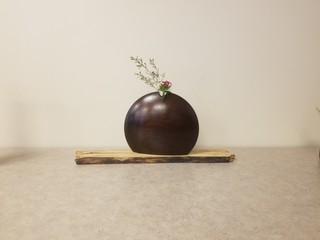 Still Ikebana