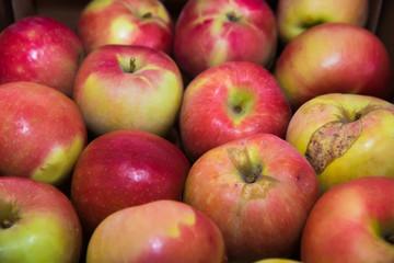Apples sold in the market