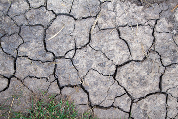 Cracked dried earth texture background, close up. Dry, erosion, ecology problem concept.