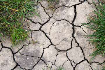 Cracked dried earth texture background, close up. Dry, erosion, ecology problem concept.