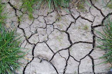 Cracked dried earth texture background, close up. Dry, erosion, ecology problem concept.