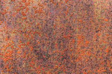 Rust red spots on old weathered metal surface