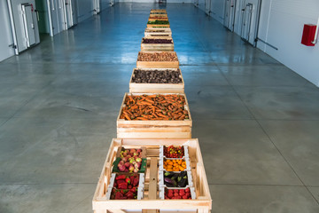 Colorful various fresh organic healthy vegetables and fruits at vegetable store