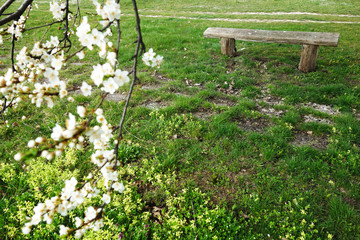 Old wooden bench in the countryside, serves for rest and relaxation