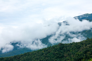 High mountains with dense trees. Is a fertile mountain See the level of white clouds and the sky as the background
