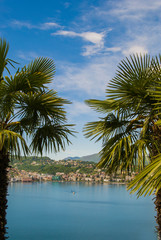 Fototapeta na wymiar View of the lake and the city of Lugano on a sunny summer day, Switzerland. Palm trees at the sides of the frame.