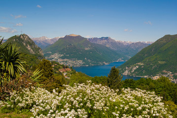 View of the Parco San Grato in Lugano, Switzerland. Alpine mountain scenery on a sunny summer day and views of Lake Lugano. 