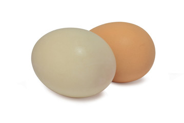 egg isolated on white background
