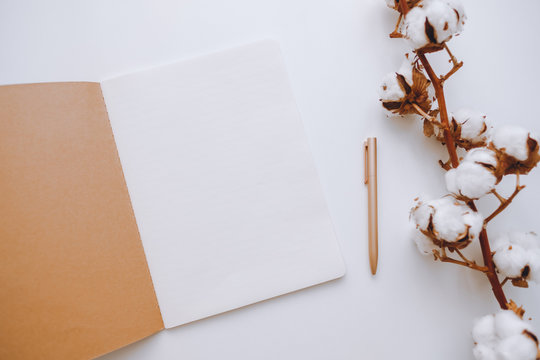 Notebook with a blank white paper on a white background, with a cotton branch