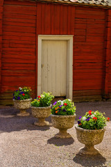 Fototapeta na wymiar Flower pots in a backyard