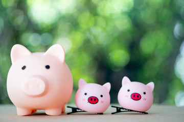Big pig and two little pig on a wooden table