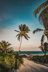 Sunset view in Tulum at tropical coast. Palm tree and beach in Quintana Roo, Mexico.