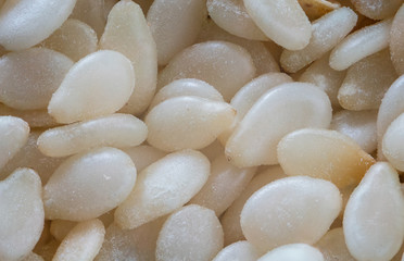 Sesame seed ingredient macro closeup photo