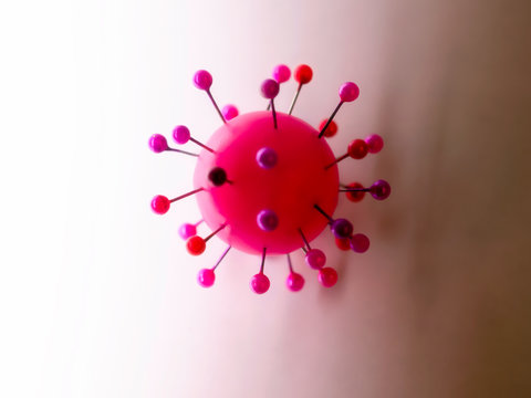 Conceptual virus