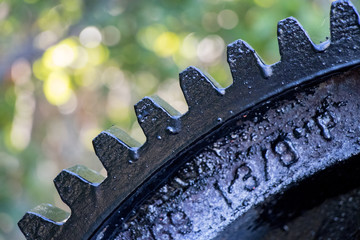 toothed wheel